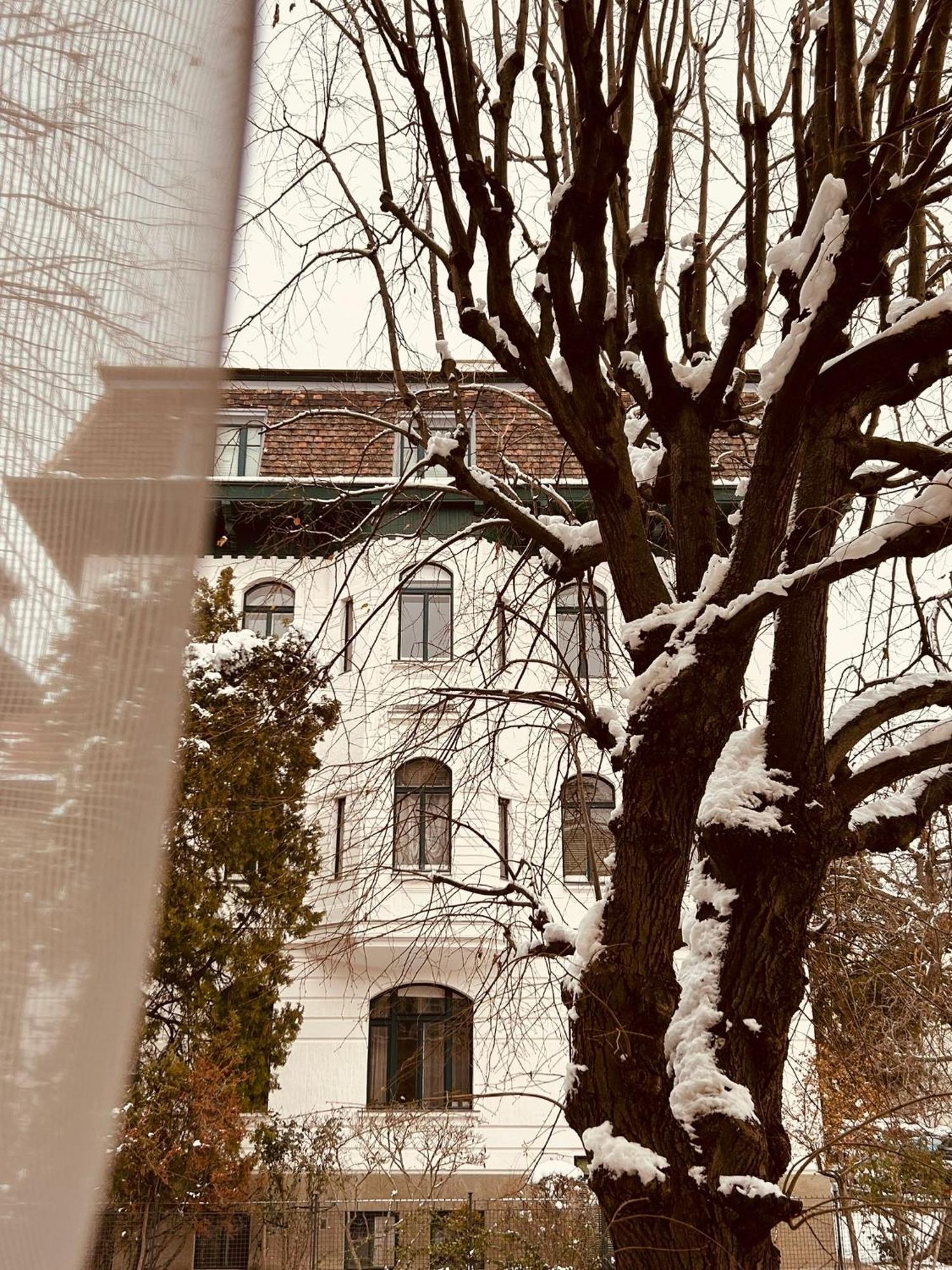 5 Min Schoenbrunn Gloriette, Direct To Center, Free Parking Appartement *